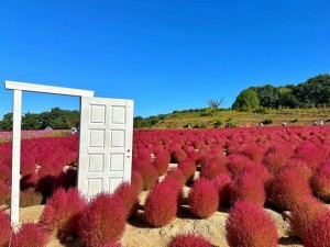 福山市の畑建設、福山市|新築・注文住宅|リフォーム